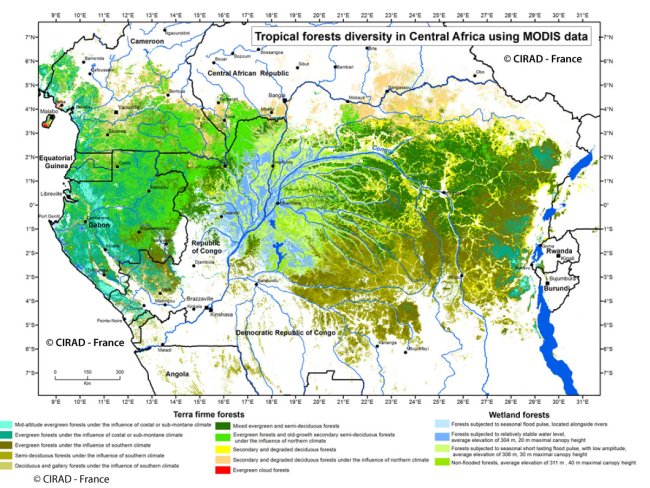Map showing that the densest and greenest forests are in Western Central Africa